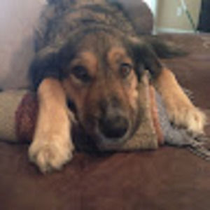 Meet your Posher, Emilie